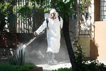 El Municipio fumiga espacios verdes