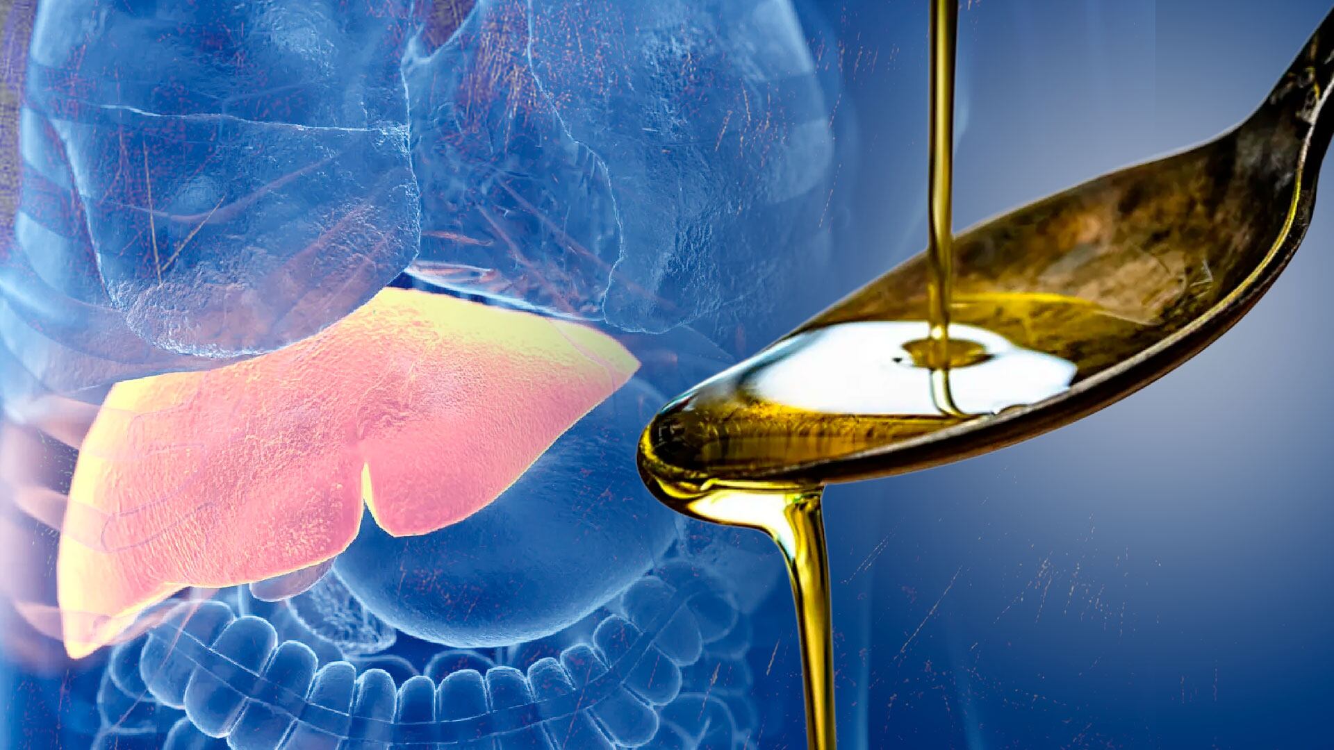Cuál es el aceite comestible que ayuda a disminuir de forma significativa el depósito de grasa en el hígado