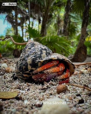 El museo Mureco, ubicado en