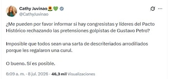 - crédito @CathyJuvinao/X