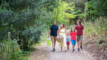 Año Nuevo: esto es todo