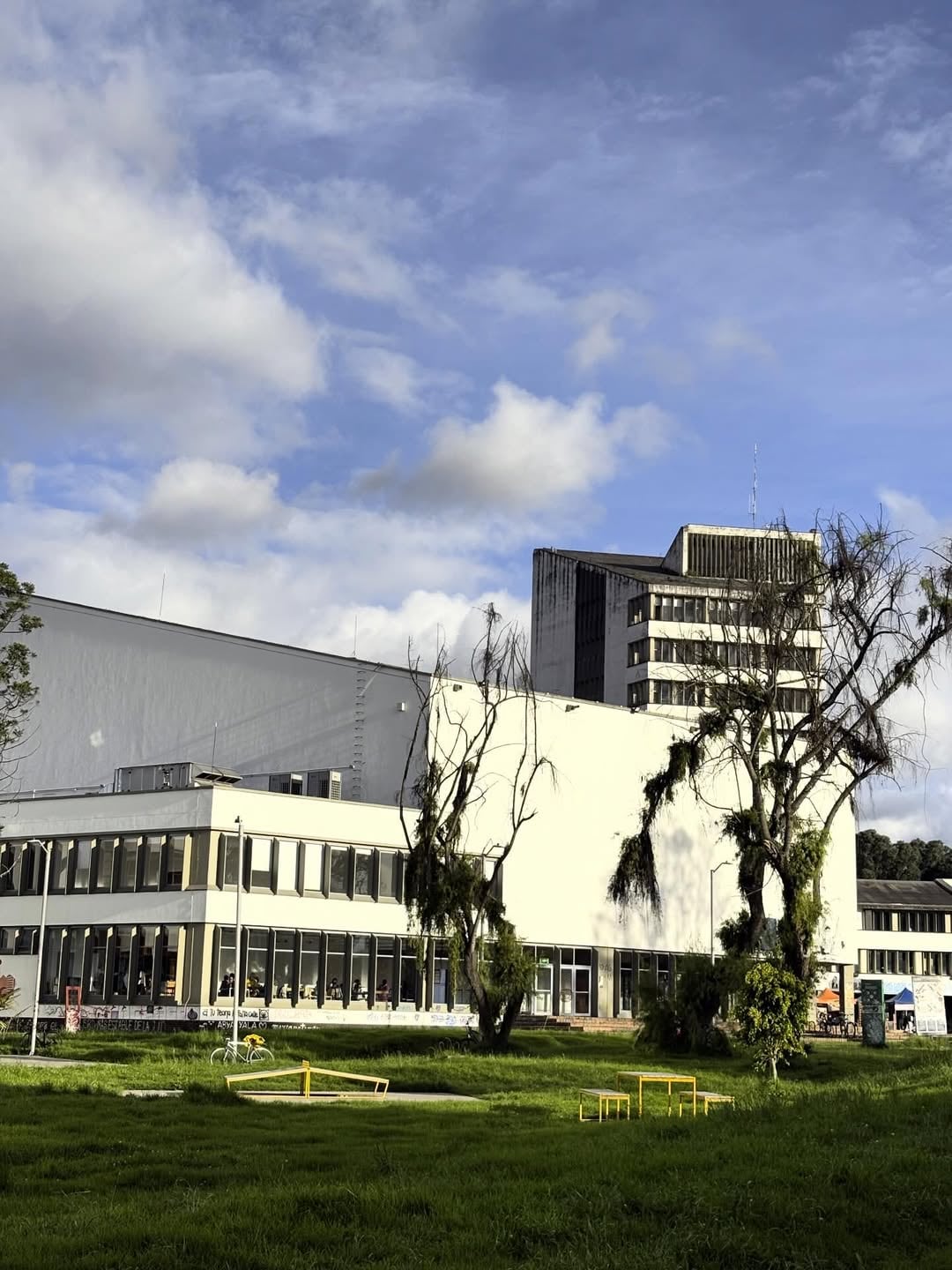 La vacante es para cinco cargos docentes de cátedra en el Departamento de Ingeniería de Sistemas e Industrial - crédito Universidad Nacional