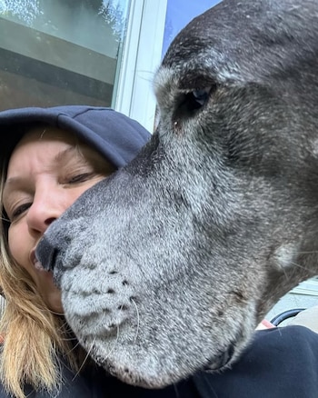 Primer plano de una mujer de cabello rubio con capucha negra y el hocico de un perro grande y gris con bigotes, ambos muy cerca