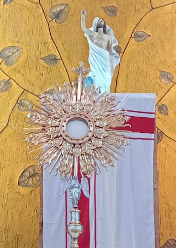 El hombre pensó que podría encontrar varios objetos de valor en el recinto sagrado Foto: Facebook Parroquia San Martín de Porres