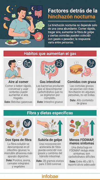 Infografía ilustrada con secciones de texto sobre las causas de la hinchazón nocturna, el gas intestinal y el consumo de fibra.