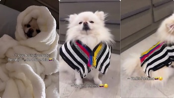 Mujer emociona en redes sociales