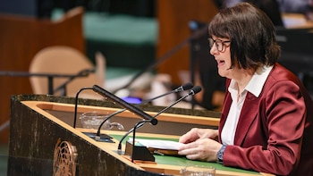 Expertos de la ONU denuncian