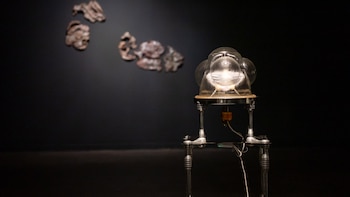 Estadío Inicial - CC Borges