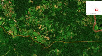 Imagen satelital de presuntos cultivos