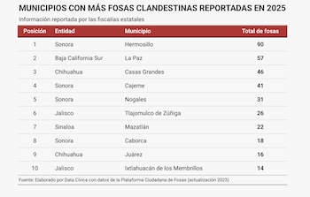Municipios con más fosas clandestinas reportadas en 2025. ( Plataforma Ciudadana de Fosas/Captura de pantalla)