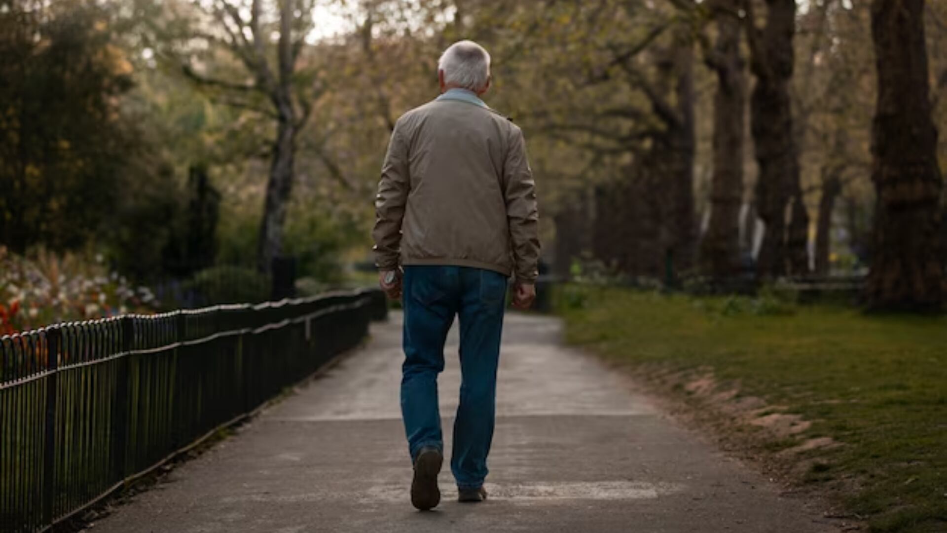 Caminar unos 15 minutos diarios reduce a la mitad el riesgo de enfermedades cardíacas, según un estudio del UK Biobank (Freepik)