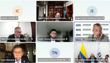 La Fiscalía y otras partes intervinientes presentaron recurso de apelación ante la decisión del Tribunal Superior de Bogotá de ordenar la libertad de Ricardo Bonilla - crédito Audiencia de libertad por vencimiento de términos Ricardo Bonilla/Despacho 10 del Tribunal Superior de Bogotá/ Teams