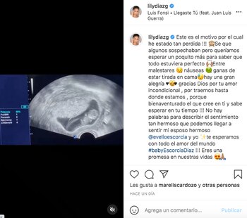 Tomada de Instagram @lilydiazg