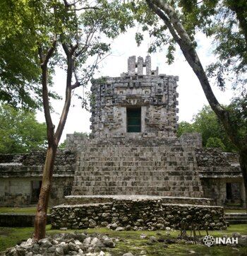 Fascina a los especialistas su