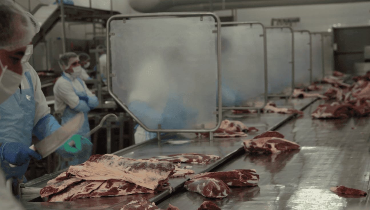 La caída de la faena y el freno de las exportaciones llevaron a la suspensión total del personal del frigorífico General Pico
(IPCVA)