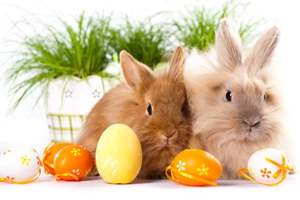 Estos postres son ideales para compartir con la familia en festividades especiales como el Día de Pascua. Foto: (iStock)