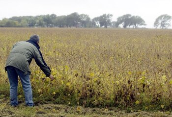 Argentina perdió ingresos por USD