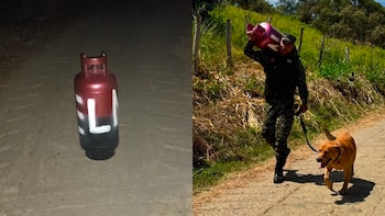 Ejército afirmó que no hay estructuras activas del ELN en Cundinamarca pese falso cilindro bomba hallado en vías rurales
