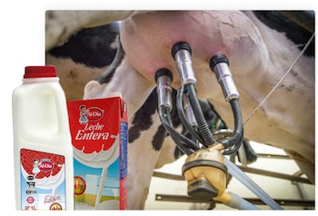 La leche Al Día, un