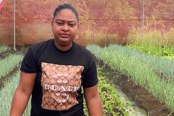 Ámbar Rijo transformó la agricultura en María Ruiz, La Altagracia, y convirtió a la comunidad en un referente de autosuficiencia alimentaria en República Dominicana. (Foto cortesía FAO)