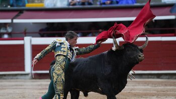 Terna y ganadería a hombros