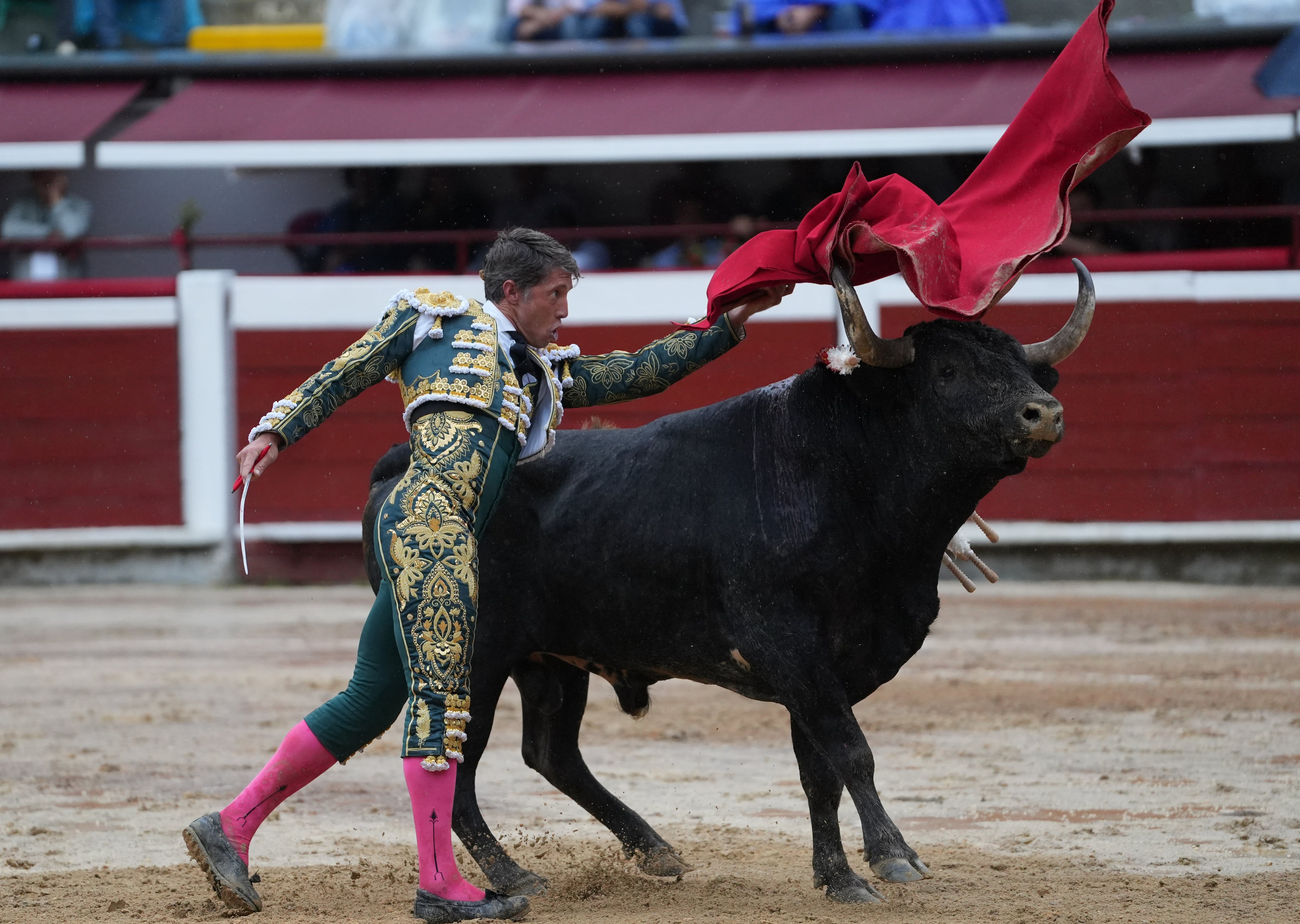 El torero español Manuel Escribano lidia al toro Peregrino de la ganadería Campo Real, este lunes durante la Feria de Cali, en Cali (Colombia). EFE/ Ernesto Guzmán