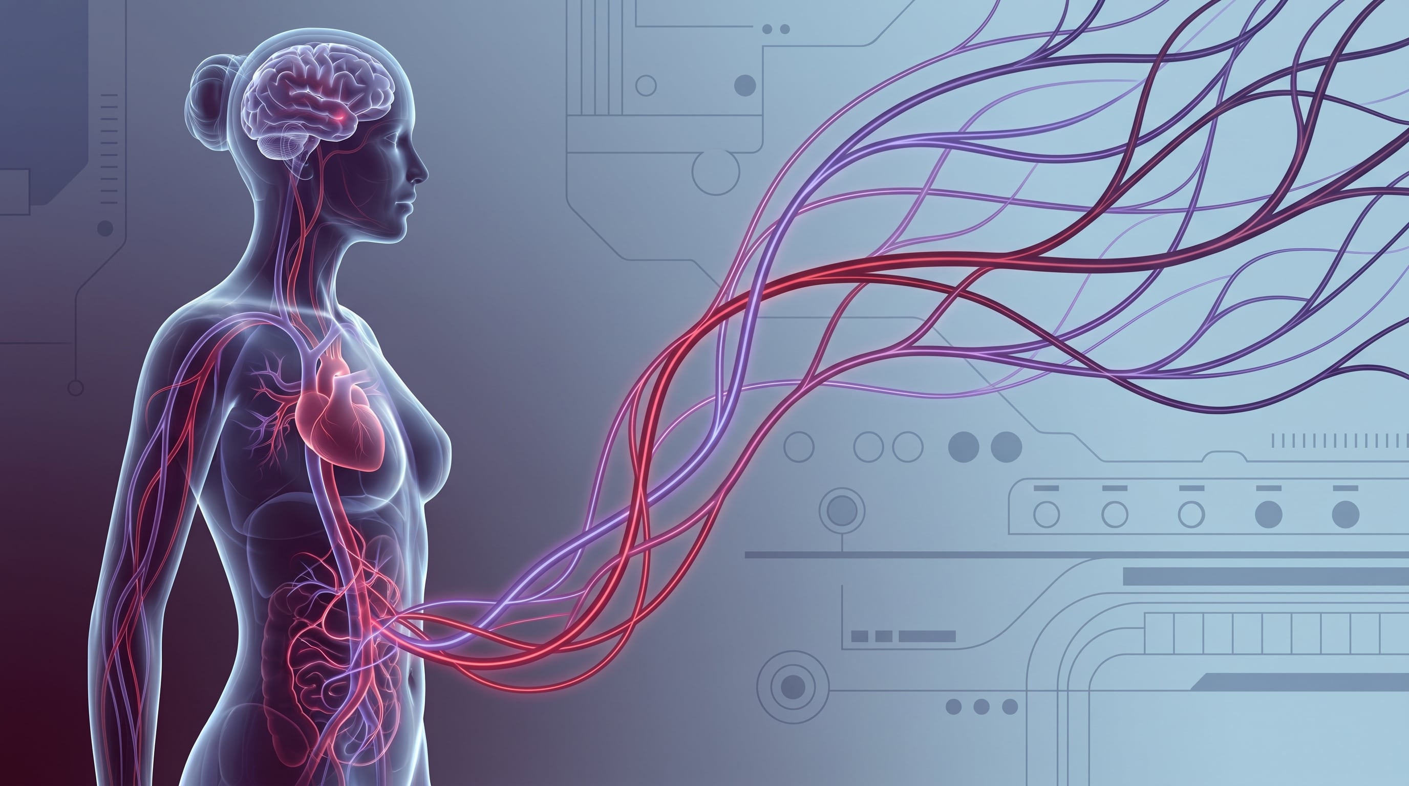 La investigación sueca detectó en mujeres con síntomas premenstruales un 31% más de riesgo de arritmias y un 27% más de accidente cerebrovascular isquémico (Imagen Ilustrativa Infobae)