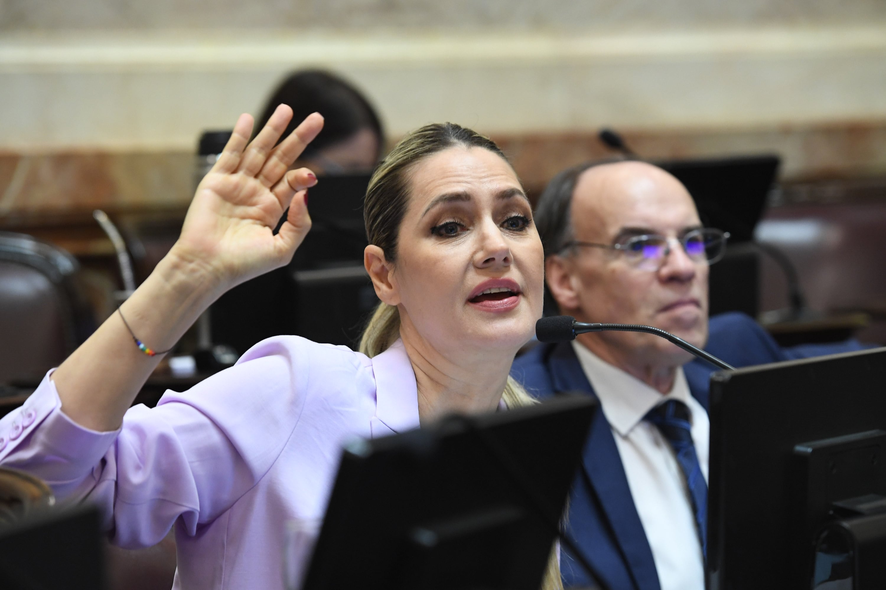 Carolina Losada, senadora nacional por Juntos por el Cambio.