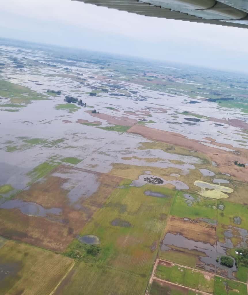 La vista desde arriba de los campos sobre la cuenca del río Salado (Foto: Claudio Velazco)