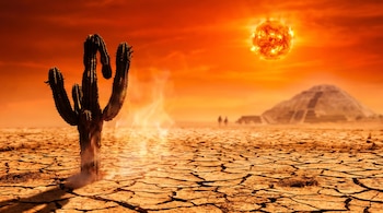 Un cactus sobre un terreno de tierra agrietada bajo un cielo anaranjado con un sol intenso y una pirámide al fondo.