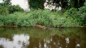 La Reserva de la Biosfera