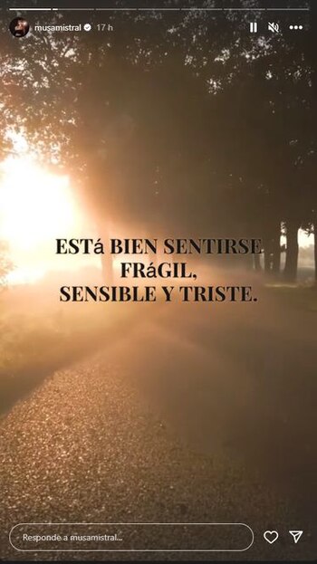 Usuarios recordaron algunos estados “depresivos”