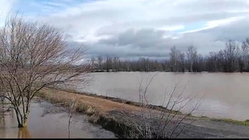 El río Bañuelos alcanza su