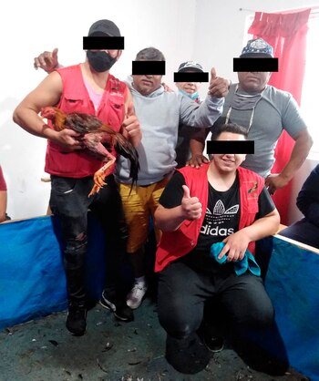 Obando luego de una pelea