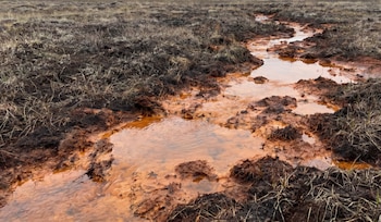 Vista de un arroyo estrecho con agua turbia de color rojizo-anaranjado fluyendo a través de un paisaje de marisma con tierra oscura y hierba seca