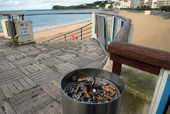 Francia prohibirá el consumo de