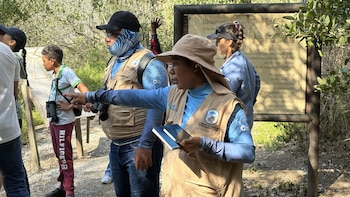 Pasarelas y torres de observación permiten a los visitantes explorar el manglar sin afectar el ecosistema. - crédito Parques Nacionales Naturales de Colombia