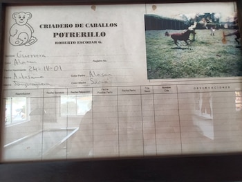 Roberto Escobar, "el Osito", tuvo