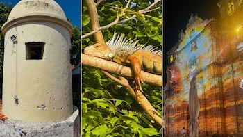 Kate Wlash fotografió detalles muy característicos de la ciudad: una antigua garita amurallada, una iguana descansando entre árboles tropicales y una iglesia iluminada de noche con proyecciones artísticas - crédito @katewalsh/Instagram