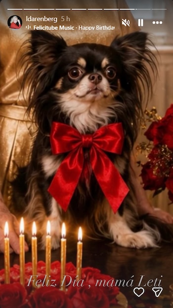 Begonia, la perrita chihuahua de Laetitia d’Arenberg, apareció en las historias con un moño rojo y el mensaje “Feliz Día, mamá Leti”