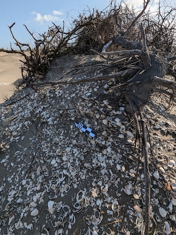 En esta zona, los habitantes