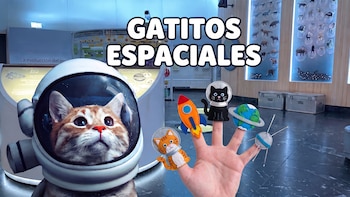 Gatitos en el espacio: taller interactivo para crear tu propio títere de astronauta en el Museo de Historia Natural