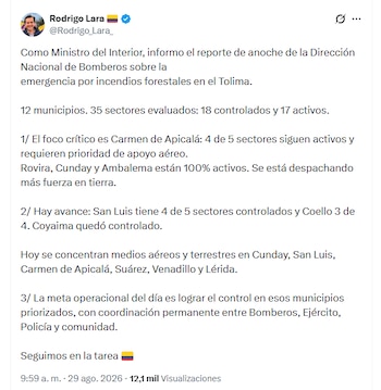 El ministro del Interior reveló reporte de los incendios en Tolima - crédito @Rodrigo_Lara_/X