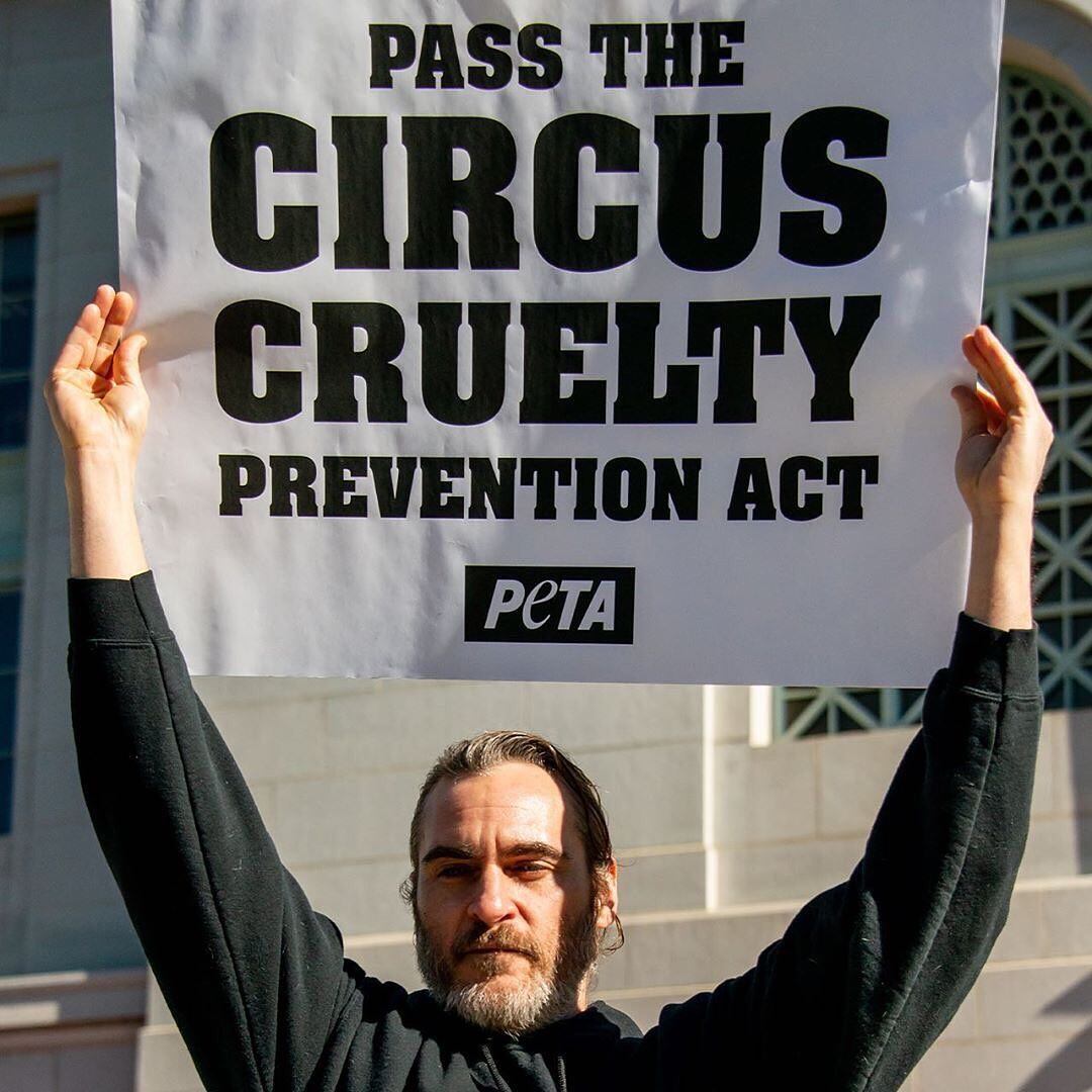 Muchas figuras públicas como Joaquin Phoenix adoptaron este estilo de vida y visibilizan, mediante discursos y acciones, al veganismo como una postura ética que cuestiona la forma en que los seres humanos se relacionan con los demás animales