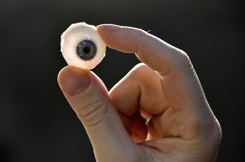 La prótesis se hará en