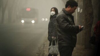 Olympic Venues "Superb" Despite Beijing