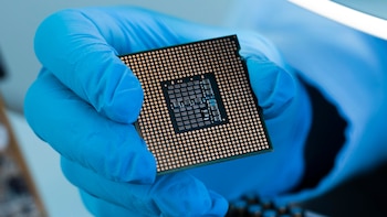 Hongos, miel y sangre: los