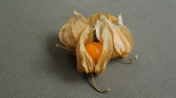 Se trata de alimentos con