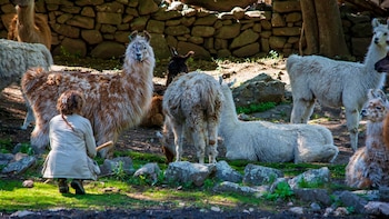 Las llamas de la reserva