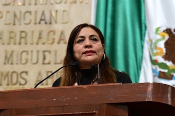 La diputada Yolanda García hizo
